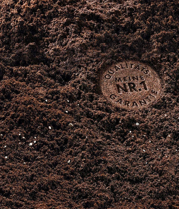 COMPO SANA Grünpflanzen- Und Palmenerde, 20 L – Bild 3