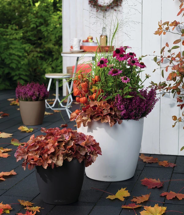 LECHUZA® CLASSICO Color, All-in-One-Set – Bild 4