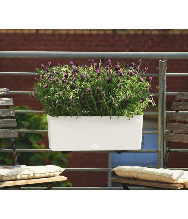 LECHUZA® Kunststoff-Kasten Balconera Color, Rechteckig – Bild 2