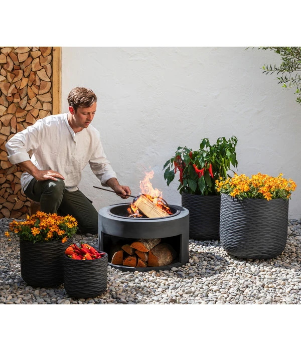 Goldmarie, Orange – Bild 4