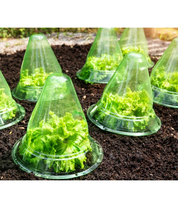 Windhager Pflanzenhut, Ø24 Cm, 10 Stk. – Bild 4