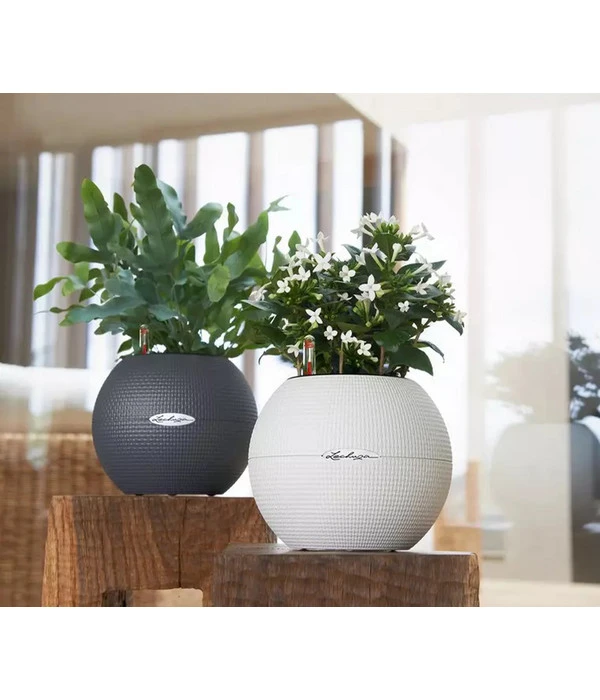 LECHUZA® PURO Color, All-in-One-Set, Rund, Ca. Ø20 Cm – Bild 7