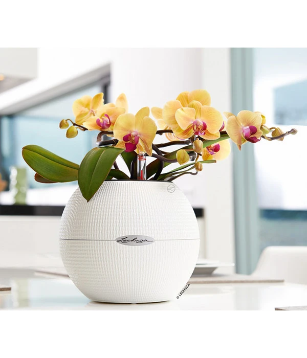 LECHUZA® PURO Color, All-in-One-Set, Rund, Ca. Ø20 Cm – Bild 4