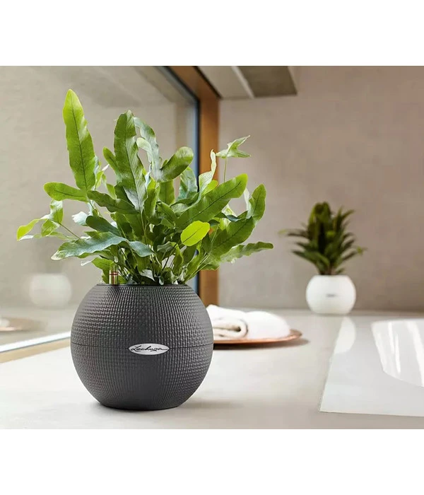 LECHUZA® PURO Color, All-in-One-Set, Rund, Ca. Ø20 Cm – Bild 6