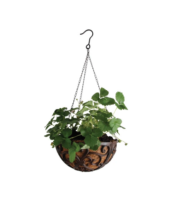 Dehner Gusseisen-Hängeampel Katalonien Mit Kokoseinlage, Rund, Rost, Ca. Ø30/H15 Cm – Bild 2