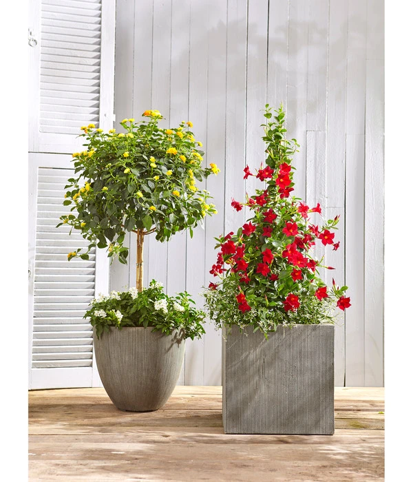 Dehner Polystone-Topf Brisbane In Riffeloptik, Rund – Bild 2