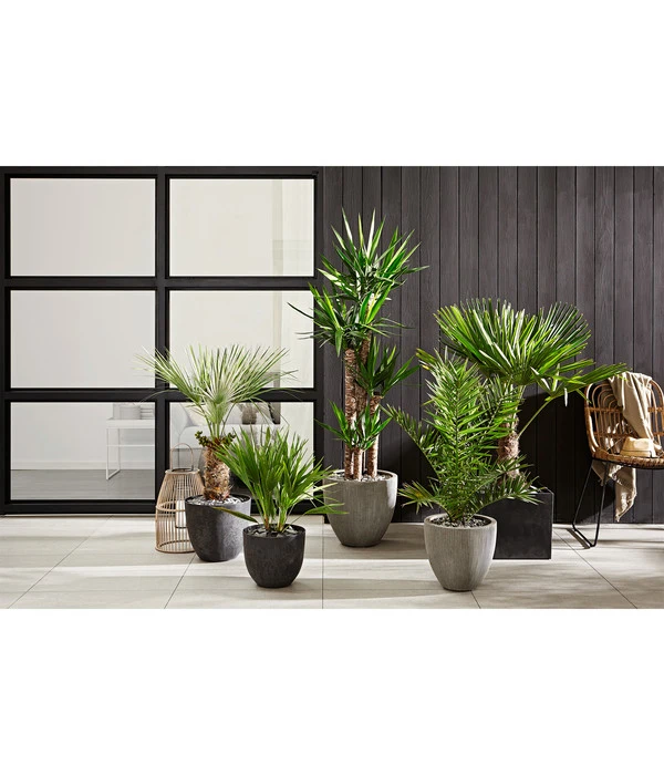 Dehner Polystone-Topf Brisbane In Riffeloptik, Rund – Bild 3