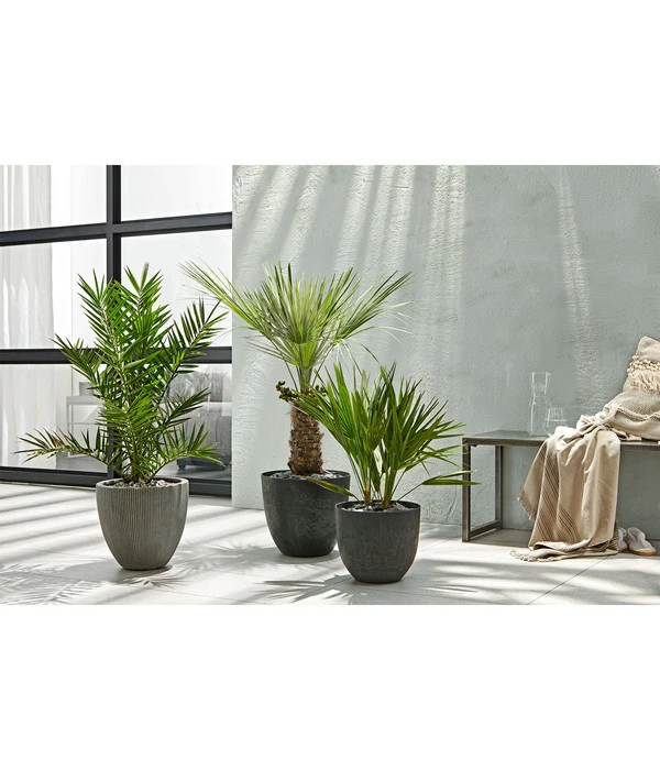 Dehner Polystone-Topf Brisbane In Riffeloptik, Rund – Bild 4