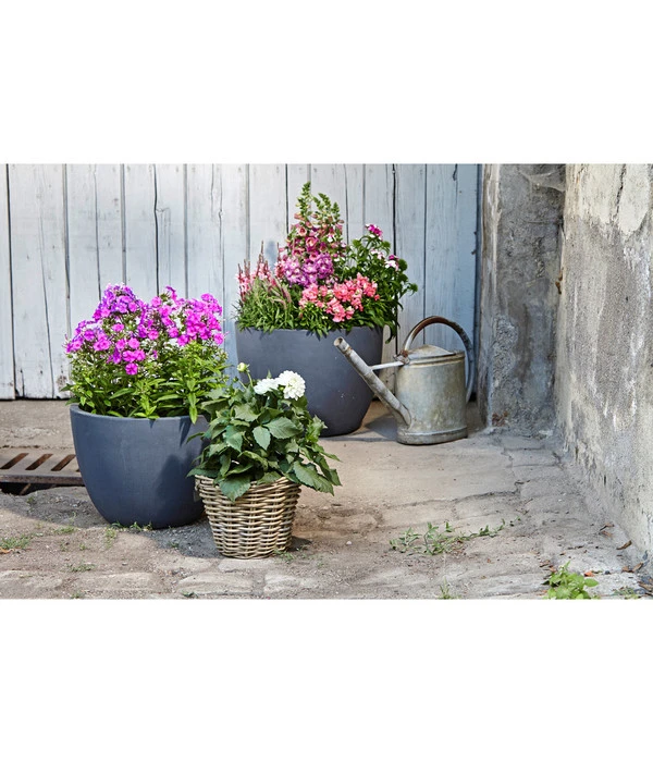 Dehner Leichtbeton-Pflanztopf Manchester, Rund, Antik-schwarz – Bild 4