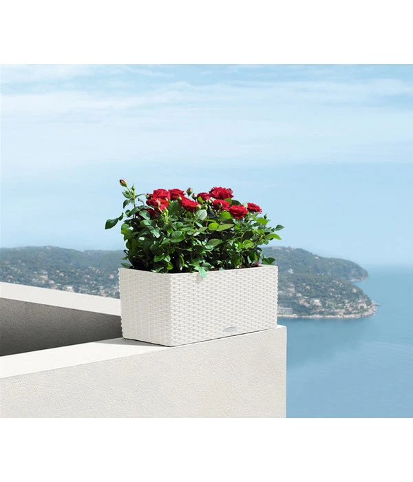LECHUZA® Kunststoff-Kasten Balconera Cottage, Rechteckig – Bild 8