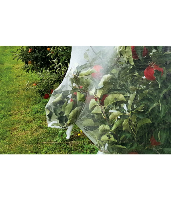 Dehner Insektenschutz-Netz, 2,1 X 5 M – Bild 2
