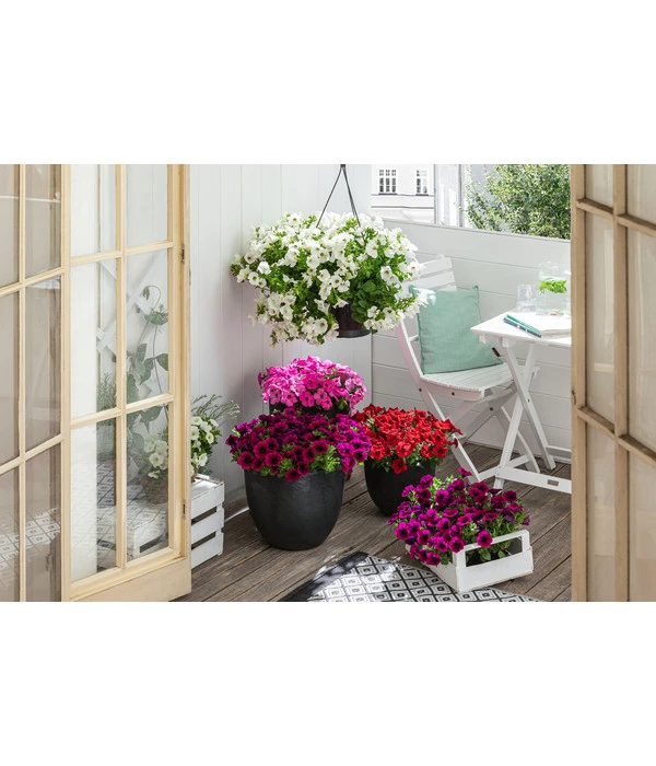 Artstone Kunststoff-Topf Bola – Bild 6