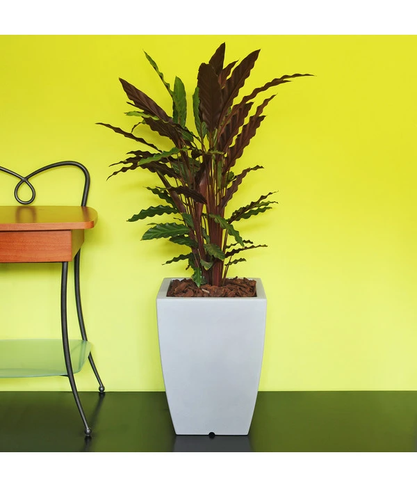 Farmet Kunststoff-Topf-Set Hydrus, Quadratisch, Grau, 2-teilig – Bild 2