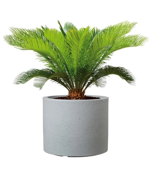 Scheurich Kunststoff-Topf Riva, Rund – Bild 2