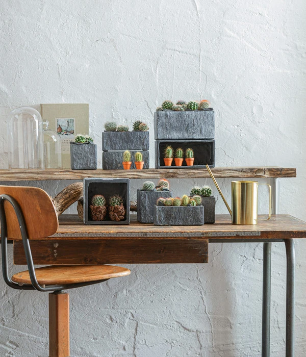 Dehner Zement-Jardiniere Slate, Rechteckig, Grau – Bild 4