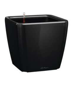 LECHUZA® QUADRO LS, All-in-One-Set