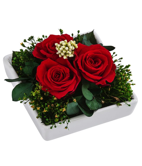 Dehner Keramik-Schale Mit Longlife-Rose Zina, Rot, Ca. B10/H7/T10 Cm