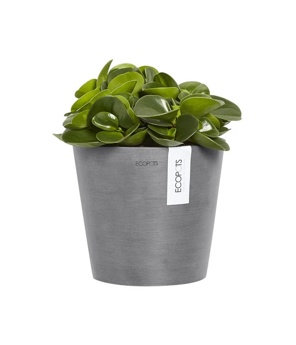 Ecopots Kunststoff-Topf Amsterdam Wall, Rund, Grau, Ca. Ø21,8/H17,5 Cm – Bild 3