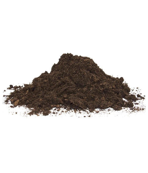 Floragard Aktiv Grünpflanzen- Und Palmenerde – Bild 3