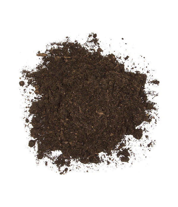 Floragard Aktiv Grünpflanzen- Und Palmenerde – Bild 4