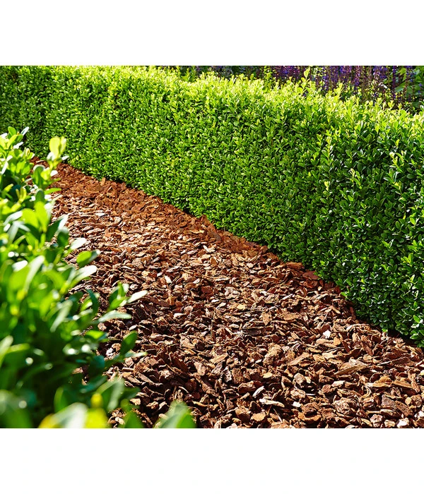 Floragard Pinienrinde 25-40 Mm, 2 X 60 L – Bild 2