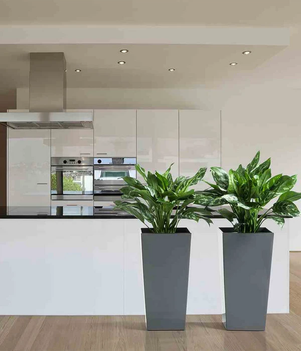 Siena Garden Kunststoff-Topf Lyon, Konisch, Ca. B40/H75/T40 Cm – Bild 2