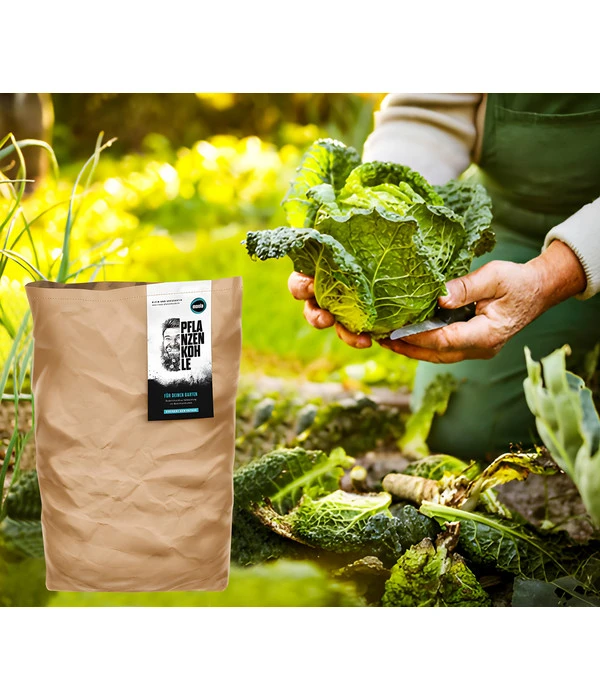 Moola Pflanzenkohle – Bild 2