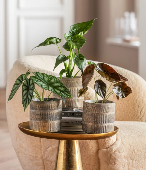 Dehner Beton-Übertopf Nola, Rund, Grau-kupfer – Bild 3