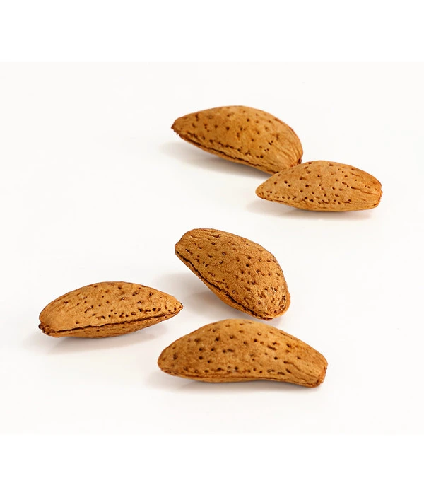 Mandelbaum – Bild 3