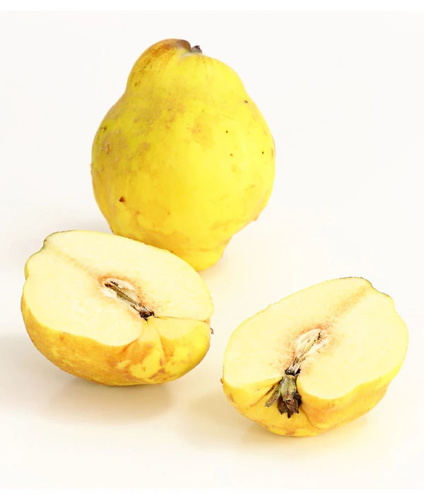 Birnenquitte – Bild 3