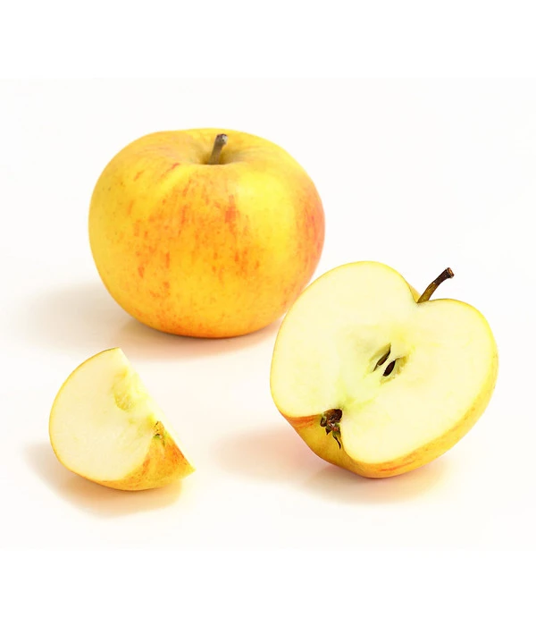 Winterapfel 'Goldparmäne' – Bild 2