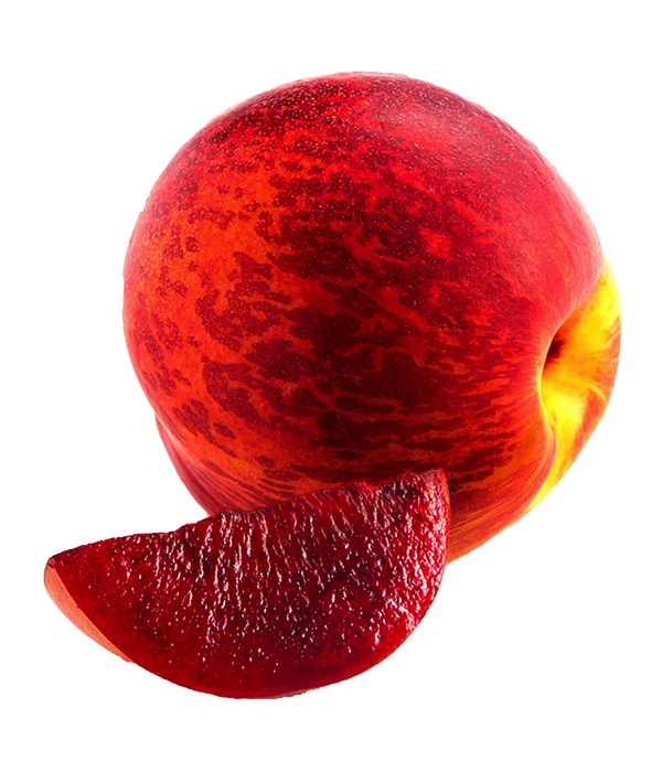 Blutnektarine – Bild 2