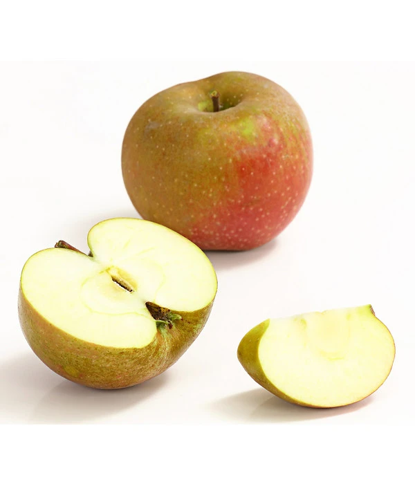 Winterapfel 'Roter Boskoop' – Bild 3