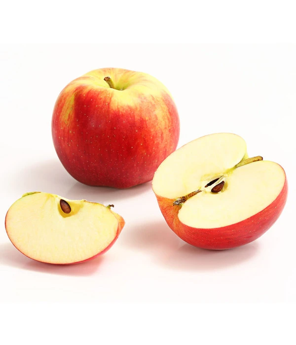 Allergikerapfel 'Santana' – Bild 2