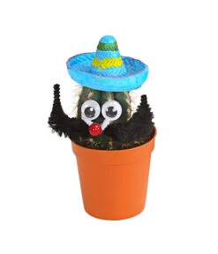 Kaktus Mit Sombrero - Cactaceae, Verschiedene Sorten