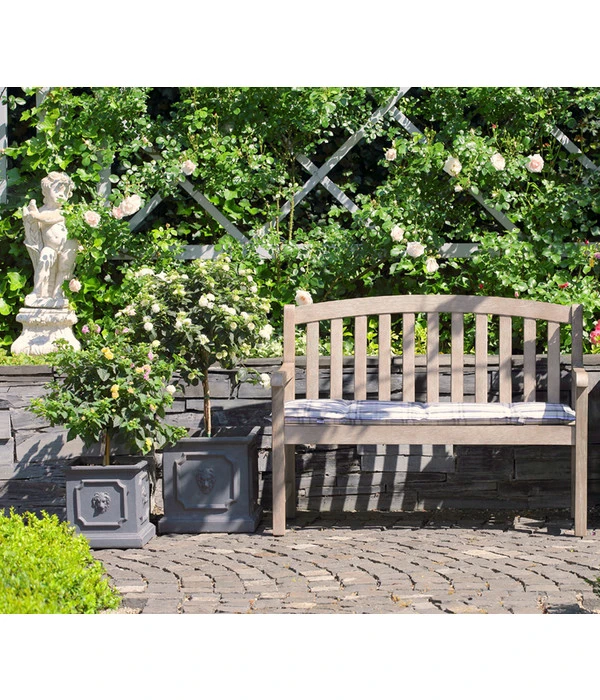 Wandelröschen, Stämmchen – Bild 3