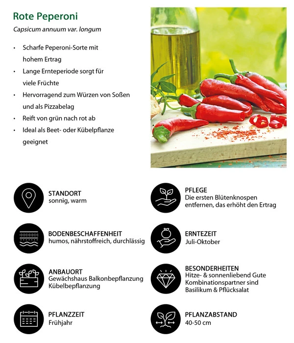 Rote Peperoni, Scharf – Bild 6